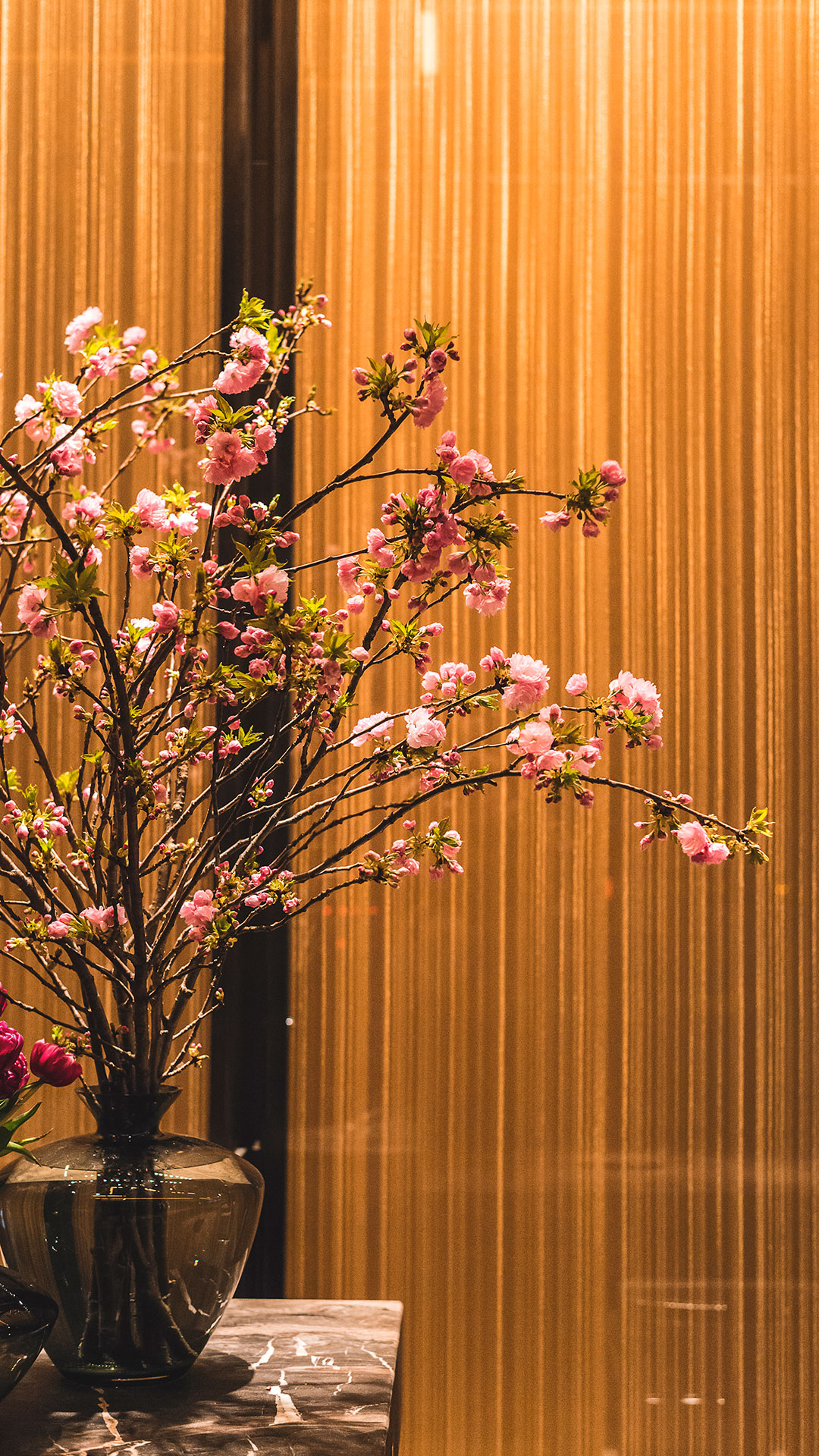 Materials Glass Interlayer Gallery 2